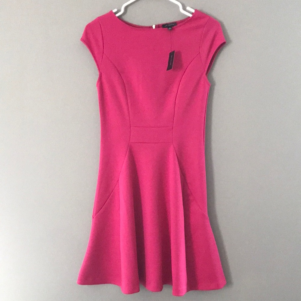 The Limited Pink Dress